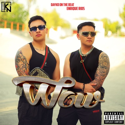 Wow (feat. Nando Produce) - Single