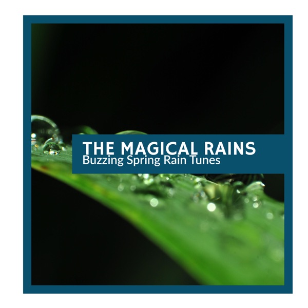The Magical Rains - Buzzing Spring Rain Tunes