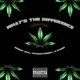 What s the Difference MOB Mix feat Bobby Mac E Dub Single