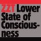 Lower State of Consciousness - ZZT lyrics