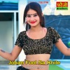 Joban Fool Sa Khile - Single