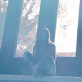 Deep End