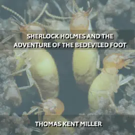Sherlock Holmes and the Adventure of the Bedeviled Foot (Unabridged)