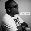 Mr Hood