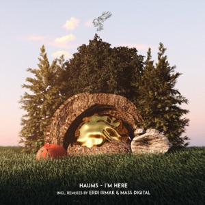 The Jungle (Mass Digital Remix)