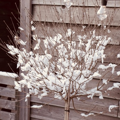 Vänersnäs Montessoriskola - Single