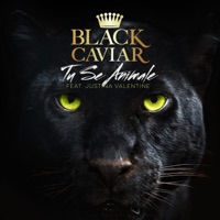 Tu Se Animale (feat. Justina Valentine) - Single - Black Caviar