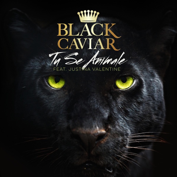 Tu Se Animale (feat. Justina Valentine)