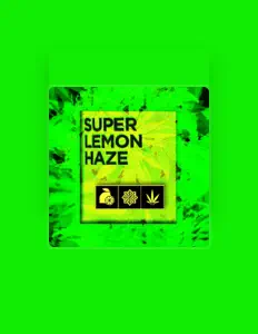 Listen to B.G.H, watch music videos, read bio, see tour dates & more!