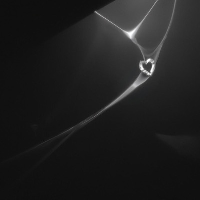 Love Is Lost - Single