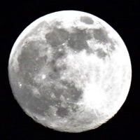 Retirement Song. - Single - Barry Skeldon