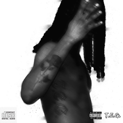 The Beautiful Art of Struggle. - EP