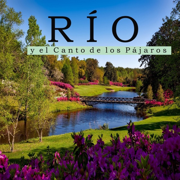 Río y el Canto de los Pájaros