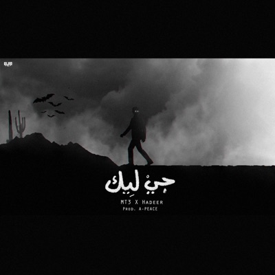 جي ليك (feat. Hadeer El Rawi & A-Peace) - Single