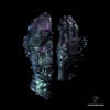 Shapeshifter cover art