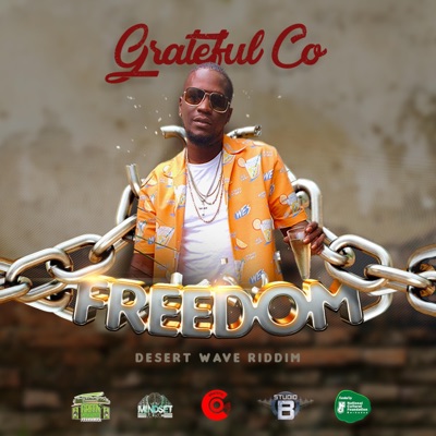 Freedom (feat. Grateful Co) - Single