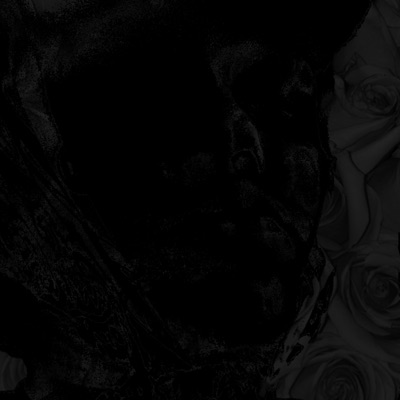 Girl I'm Sorry - Single