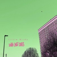 Little Birdy (feat. Diamondback Kid, Tommy Brown, John Hicks, Teddy Trumpet, Georgie, Fugitive Orchestra & Dan Barrow) - Single - South Coast Ghosts