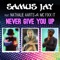 Never Give You Up (feat. mc fixx it & Nathalie Aarts) artwork
