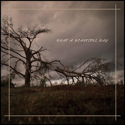 .What a Beautiful Day - Single