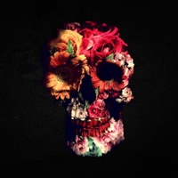 Losing Interest - Single - Evan DiAngelo