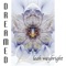 Sunwise (feat. Mark Wood) - Leah Waybright lyrics