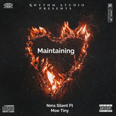 Maintaining (feat. Moe tiny) - Single