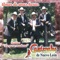 Adiós Mi Chata - Cardenales de Nuevo León lyrics