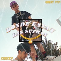 Donde estan las sutra (feat. Carcey) - Single - Great Yiyi