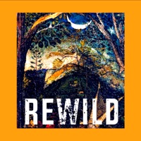 Rewild - Single - Avid Beats & Timea Sarina