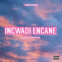 incwadi encane (feat. qveen-rsa) [Radio Edit] - Single - JR IGhost