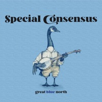 Snowbird (feat. Claire Lynch) - Single - Special Consensus