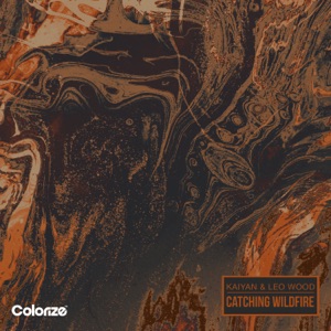 Catching Wildfire - Single