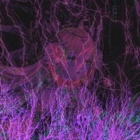 TRIGGER - Single - EVITSKIY