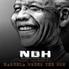 Mandela Under the Sun - Single