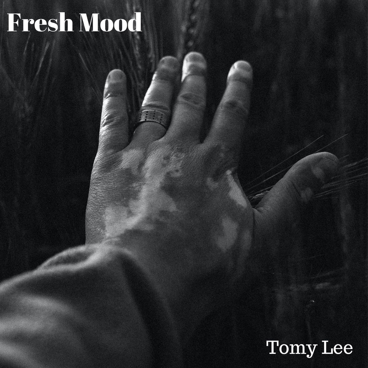 Tomy Lee - EP by Fresh Mood on Apple Music