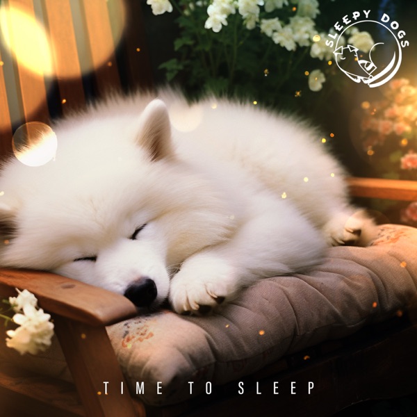 Time to Sleep - EP
