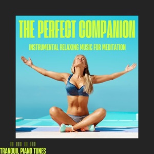The Perfect Companion: Instrumental Relaxing Music for Meditation