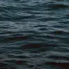 Kinoko - Zen (River)