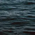 Zen (River)
