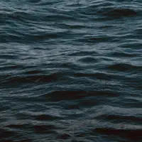 Zen (River) — Kinoko