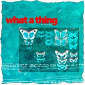 What a Thing artwork
