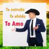 Te Extraño, Te Olvido, Te Amo