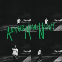 AnotherMiamiNight - Single - Stephaintdeadyet