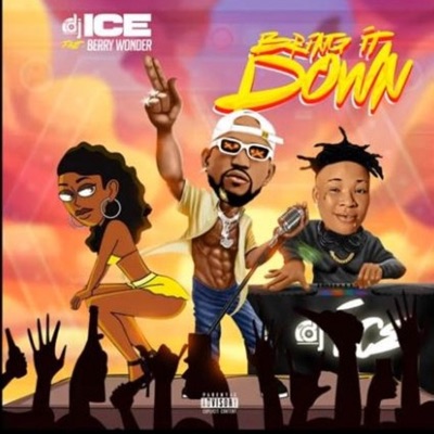 BRING IT DOWN (feat. BERRY WONDER) - Single