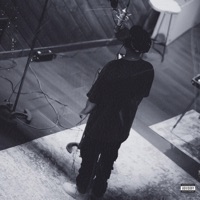 Still I Rise - Vintage Jay