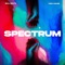 Spectrum (Tech House) [Remix] artwork