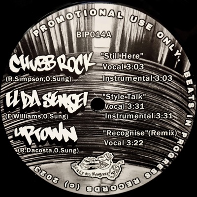 Still Here (feat. Chubb Rock) - Single