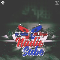 Nadie sabe (feat. Mc royce) - Single - Go Felim