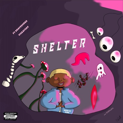 SHELTER (feat. Drayesong & Vickeysax) - Single